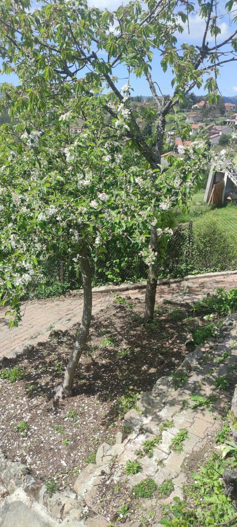 La Petite Maison D'Hose Monistrol-sur-Loire Εξωτερικό φωτογραφία